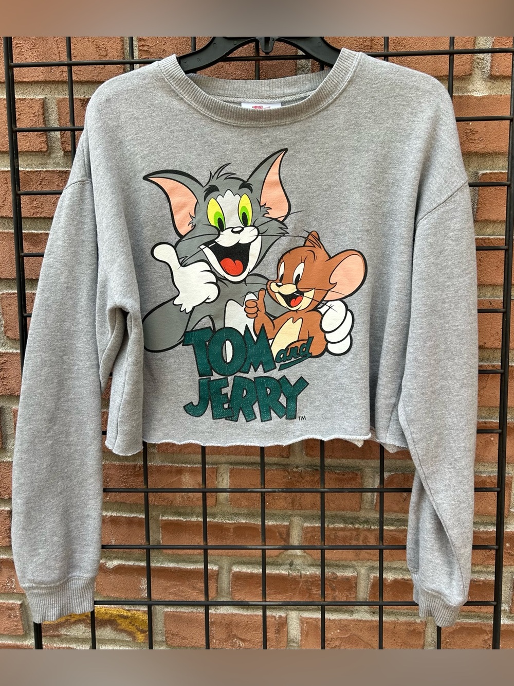 Tom and Jerry Gray Cropped Sweatshirt